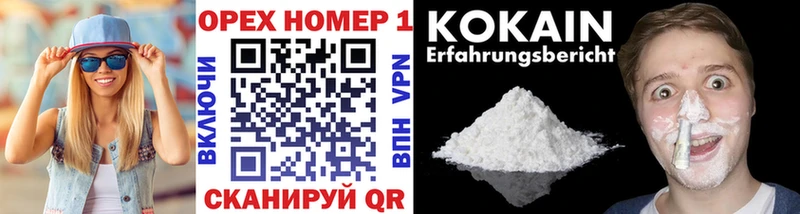Cocaine FishScale  блэк спрут как войти  Бобров  купить наркотик 
